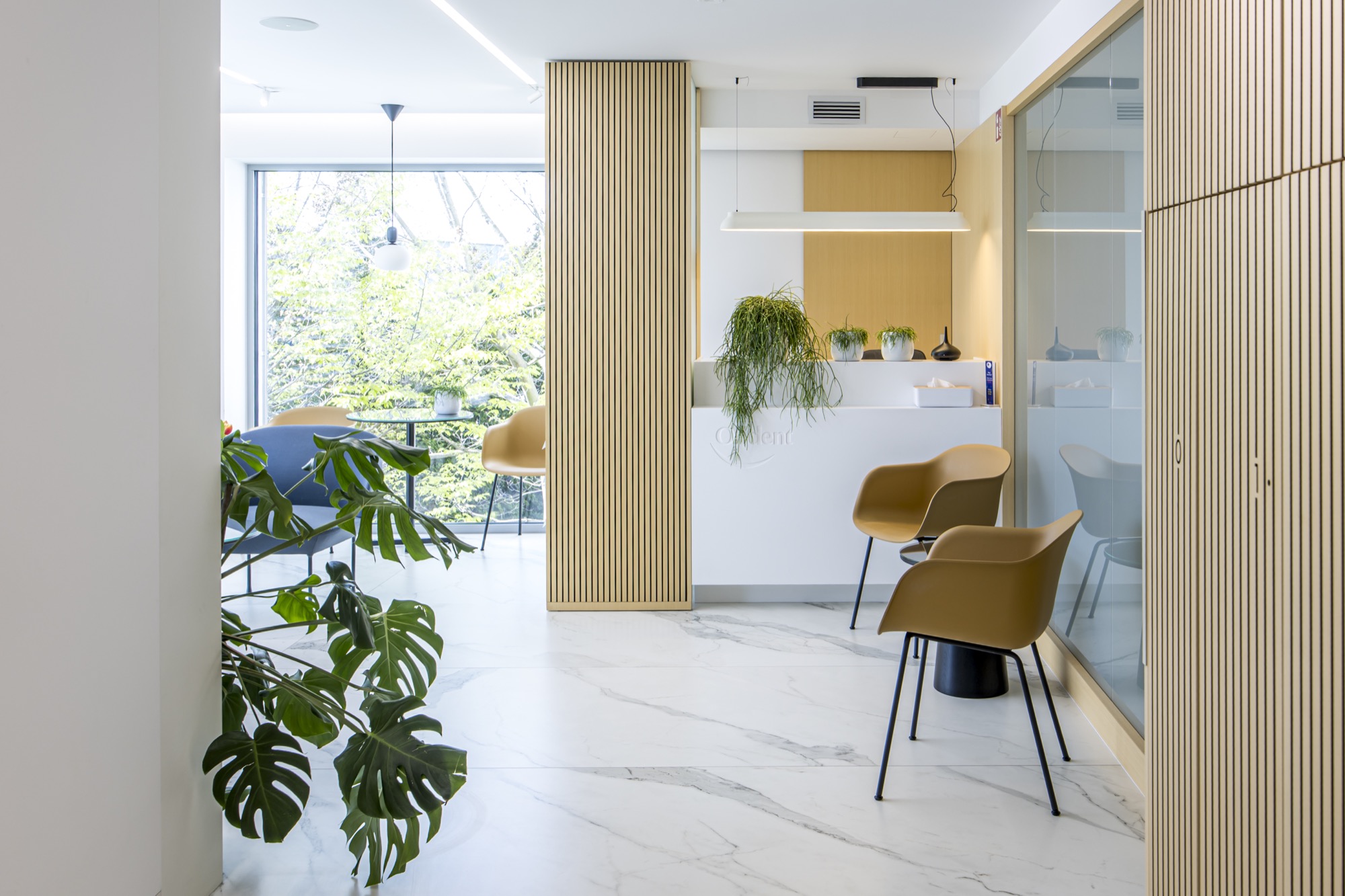 Klinika Orident — Implantologia